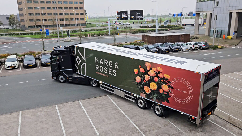 Japal Trans DAF HARG ROSES