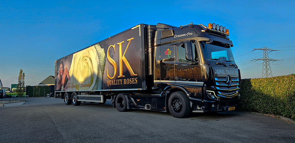 Japal Trans SK Roses Merc